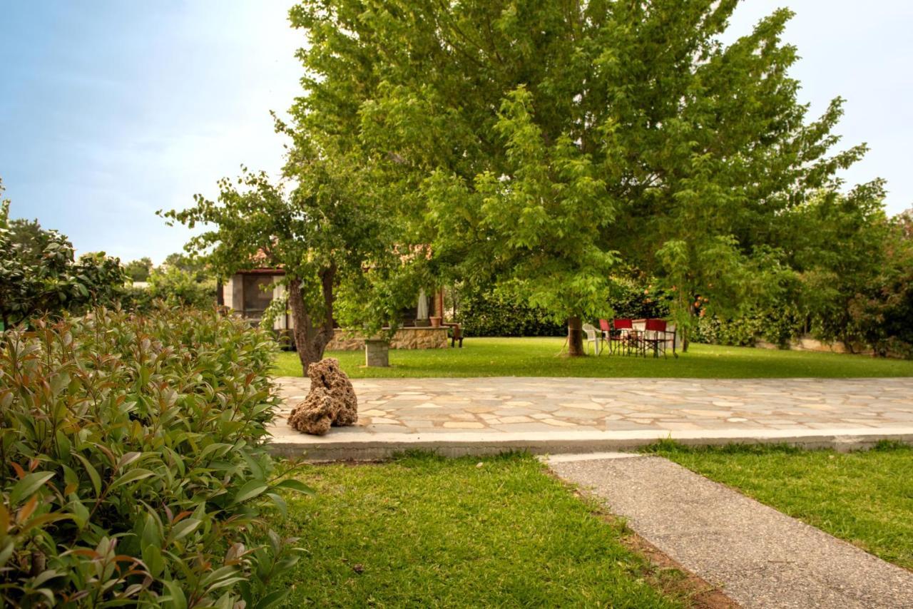 Άελλα Apartment Ierissos Bagian luar foto